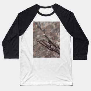 praying mantis Baseball T-Shirt